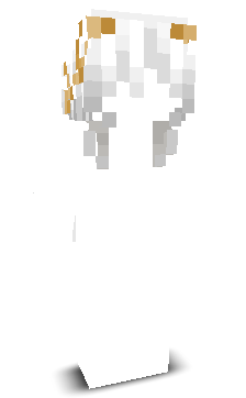 Z3YFN's skin