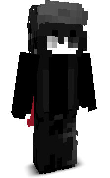 8553's skin