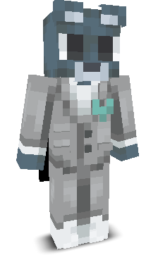 STIERSLAYER's skin