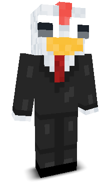 Enderzi5's skin
