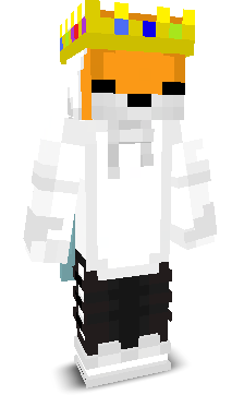 GOD_FOX_81's skin