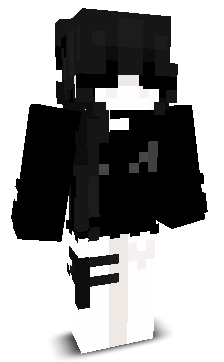 DONGDUCLUAN13's skin