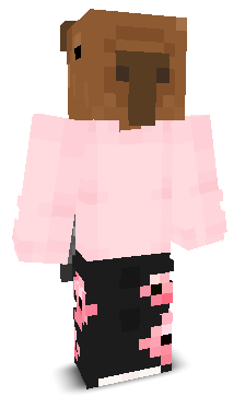 Mleczuk01's skin