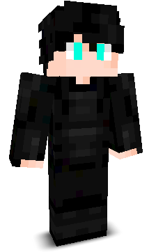 LastPuncher's skin