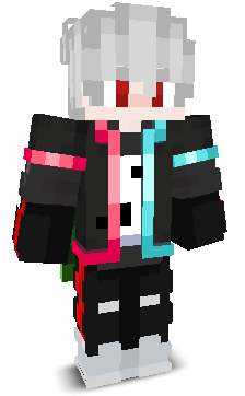 fjxlol's skin