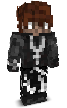 Terminarz142's skin