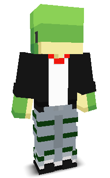 Turtleshui's skin