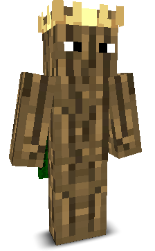Woten2045's skin
