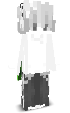 Maxwin2021's skin