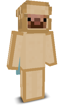 TheBreadSt1cks's skin
