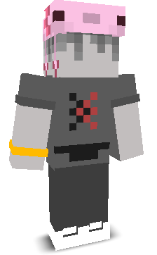 CZORT_PIES's skin