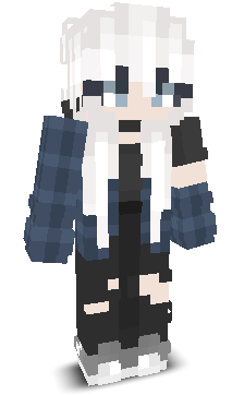 TechnoSupporter's skin