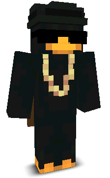 ItzArrayS's skin