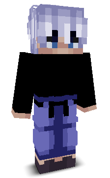 SGIT's skin