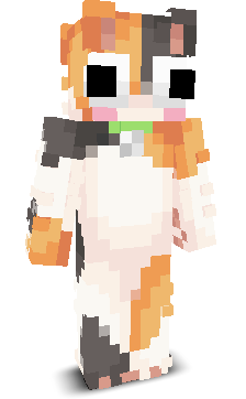 enfw's skin