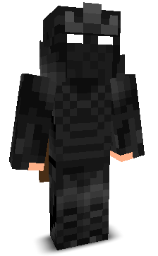 Prydzzz's skin