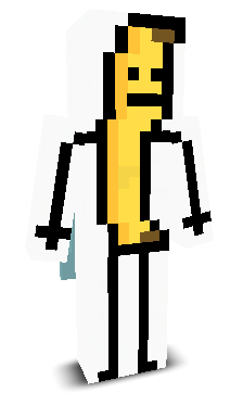 XShadowCraftX's skin