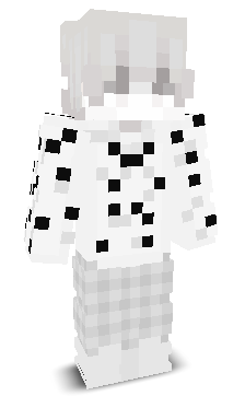iSnowit's skin