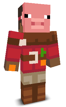 Raidernuggz's skin