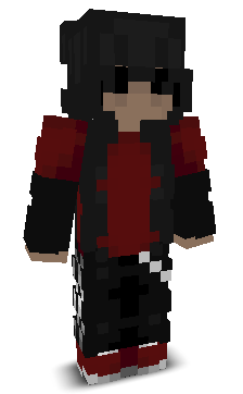 Sonderjylland's skin