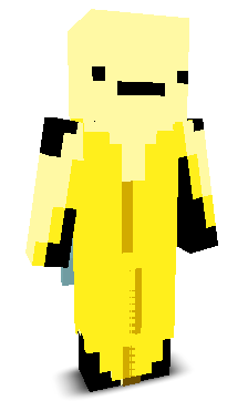 anilpro8229's skin