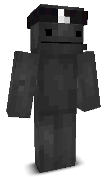 qouts's skin