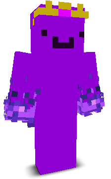 bedwars__Pro's skin