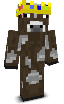 RyanFitz22's skin