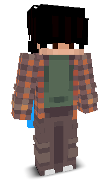 steh2k's skin