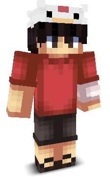 DragBridgerYt's skin