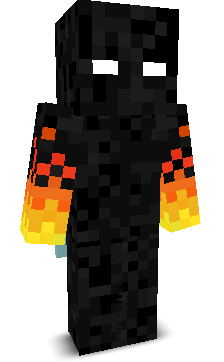 SpeedBridger737's skin