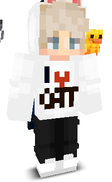 Drumadir's skin