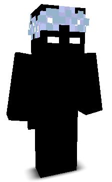 MagicGnome06's skin