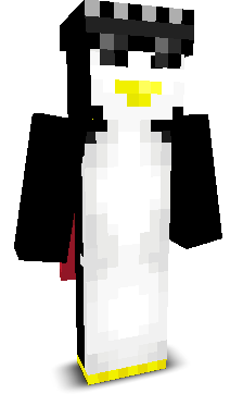 Sw4gG0d's skin