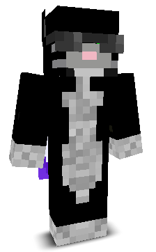 TockNock's skin