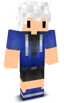 metadern's skin