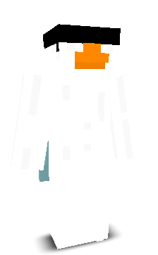 CloudGeese's skin