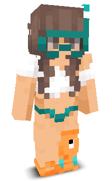 SlNI's skin