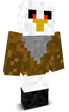 HawkyJR's skin