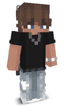 Swistak33's skin
