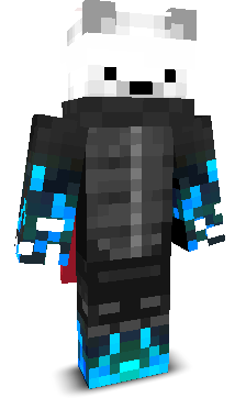 PolarN1nja's skin
