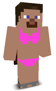steve6145's skin