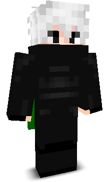 childichy's skin