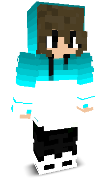 SHENR1's skin