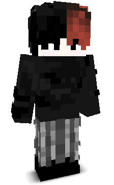 Max1k234's skin