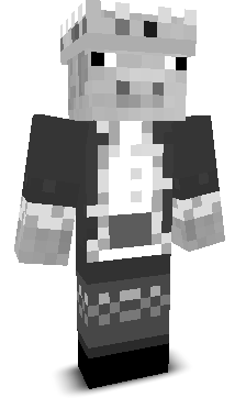 xTyro_'s skin