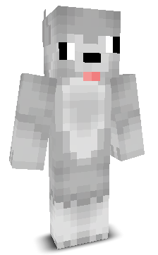 Domajnikz's skin