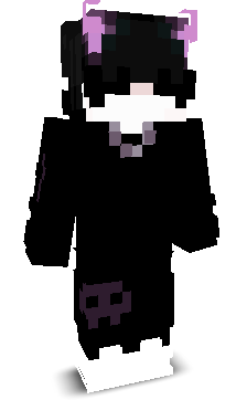 TomGamingcz's skin