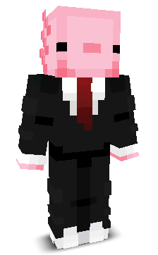 zwxftemerv's skin