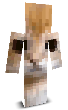 Teyul13's skin